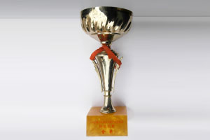 全国新技术新产品交易会科技创新金奖